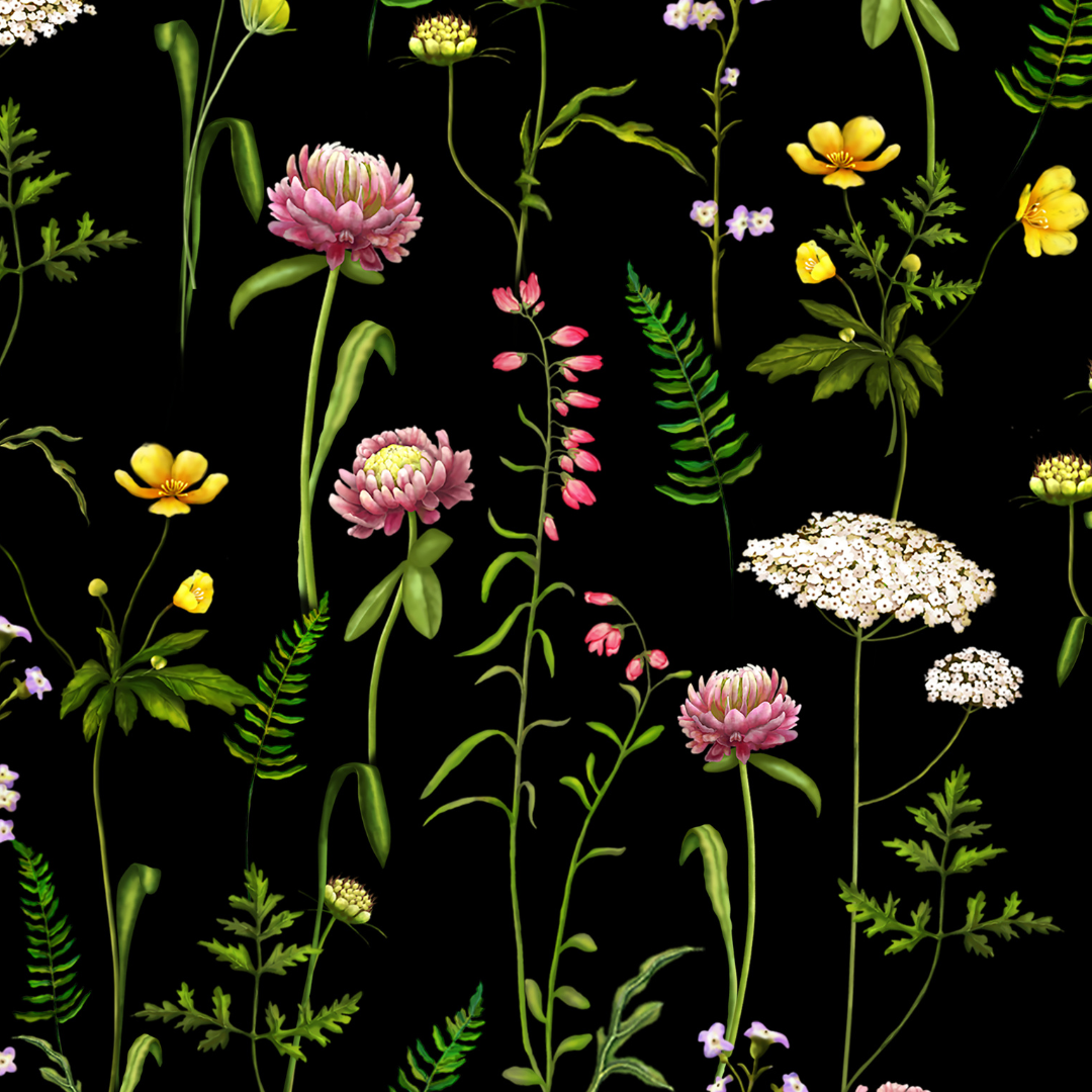 Enchanted Collection