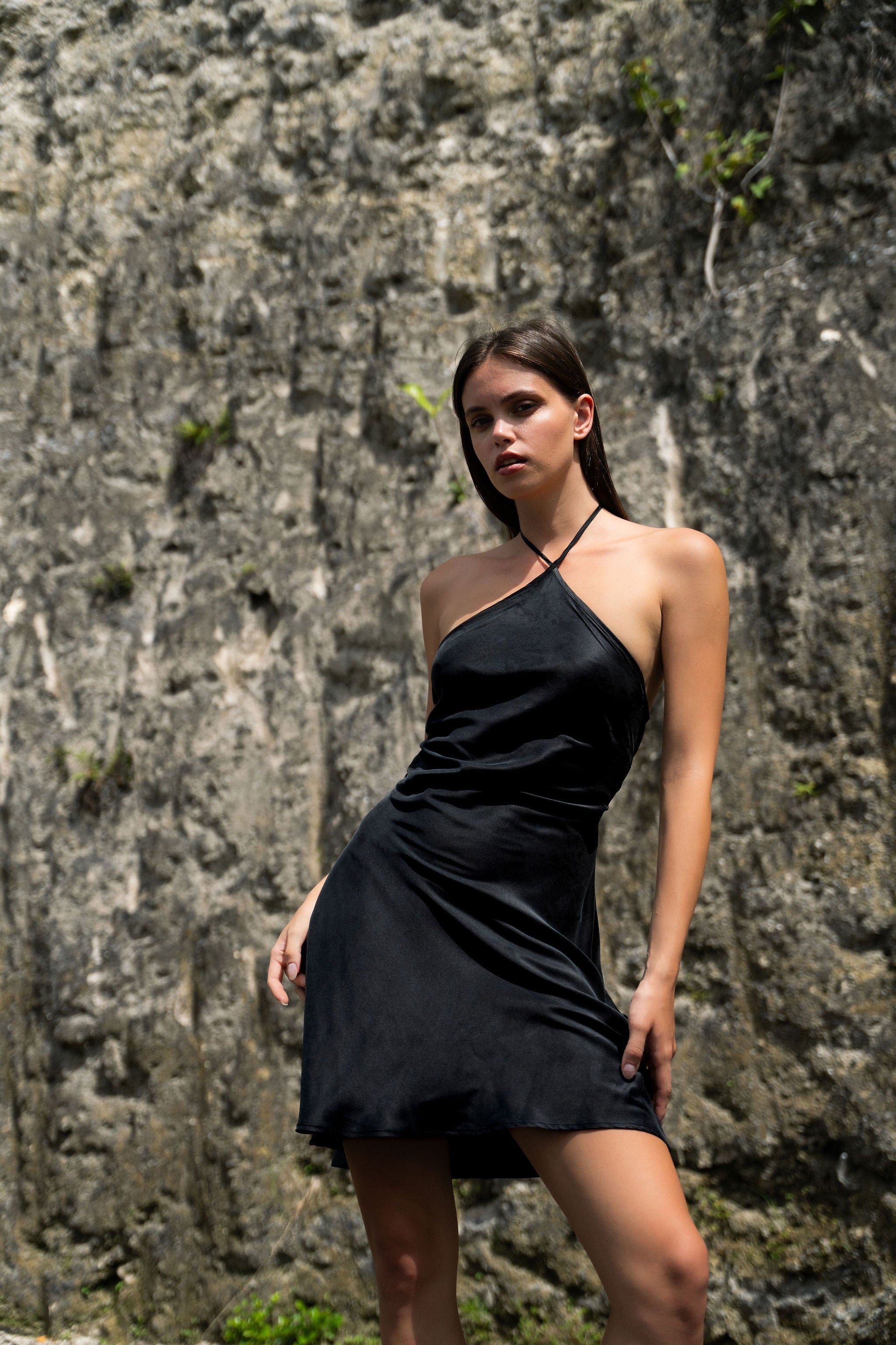 Anaphe Backless Dress Black / L Soho Mini Halter Dress