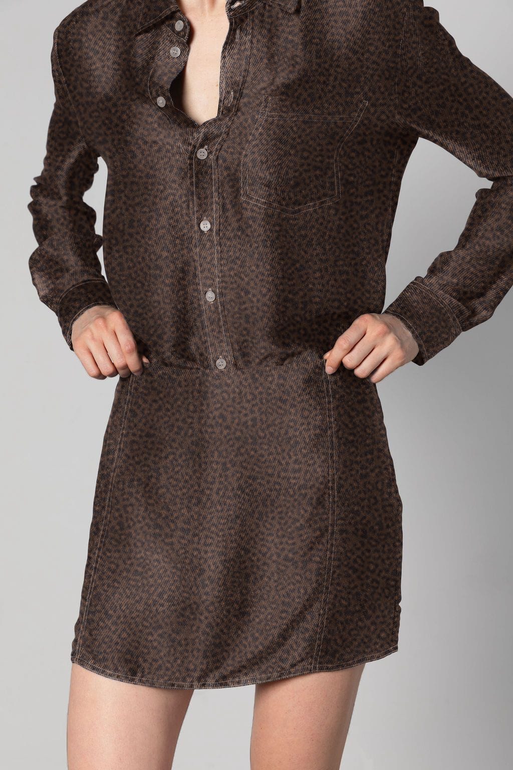 Nocturne; Poets & Predators